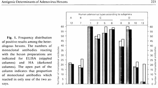 adenoviruses 3.png