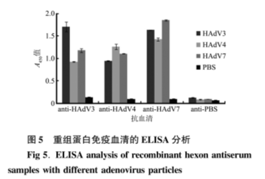 adenoviruses 5.png