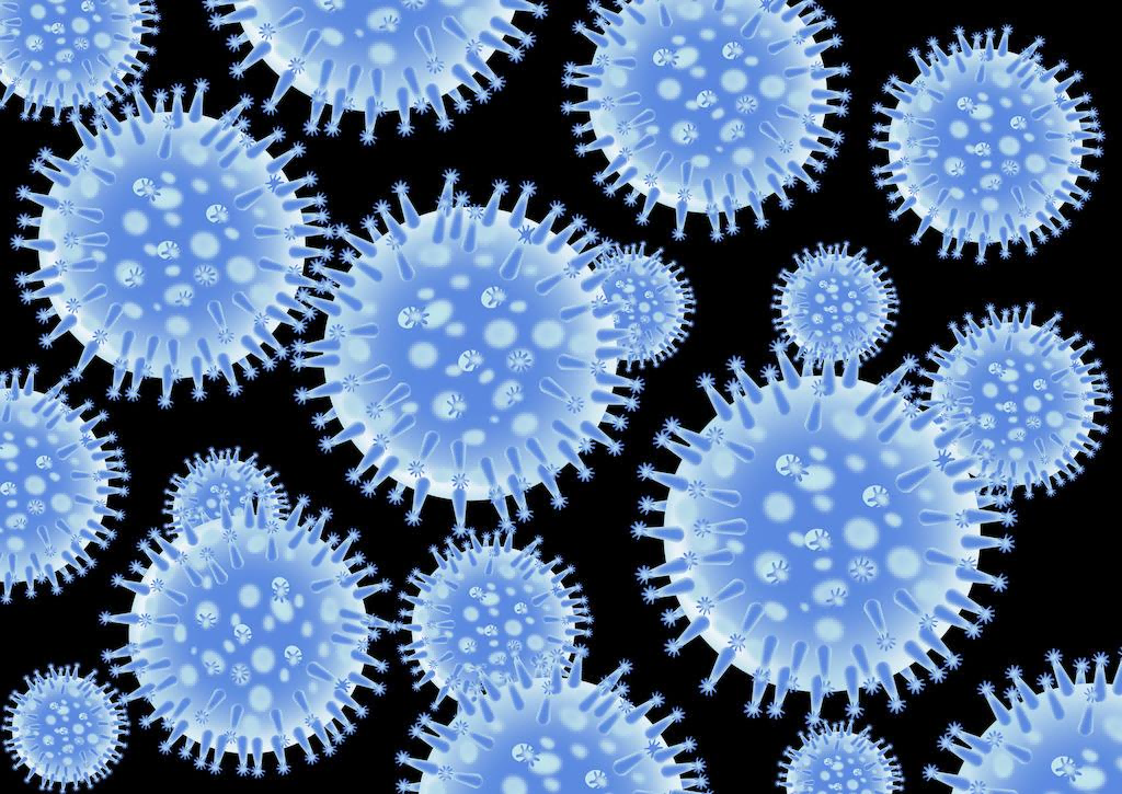 Influenza Viruses 1(1).png