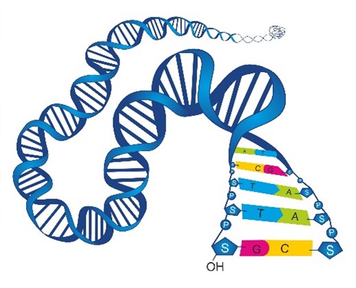 PCR 2.jpg