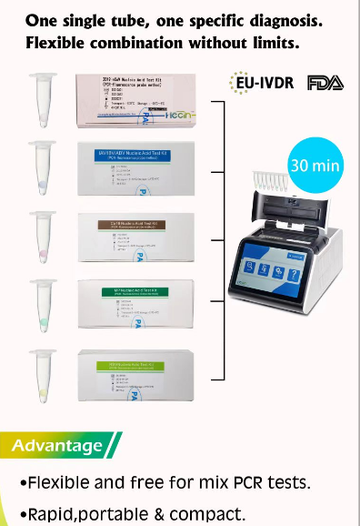 PCR 4.png