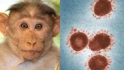 0 Monkeypox Virus.jpg